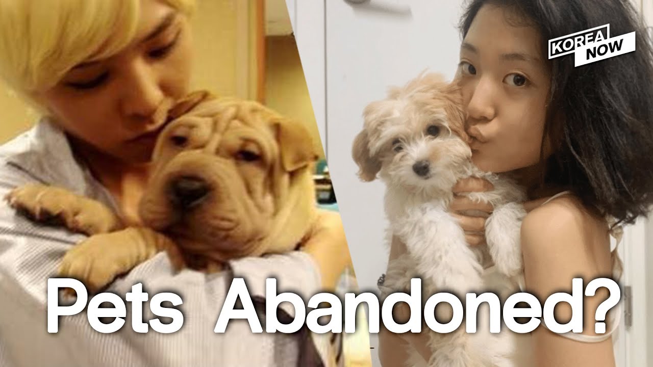 Korean Celebs Abandoning Pets Raise Controversy