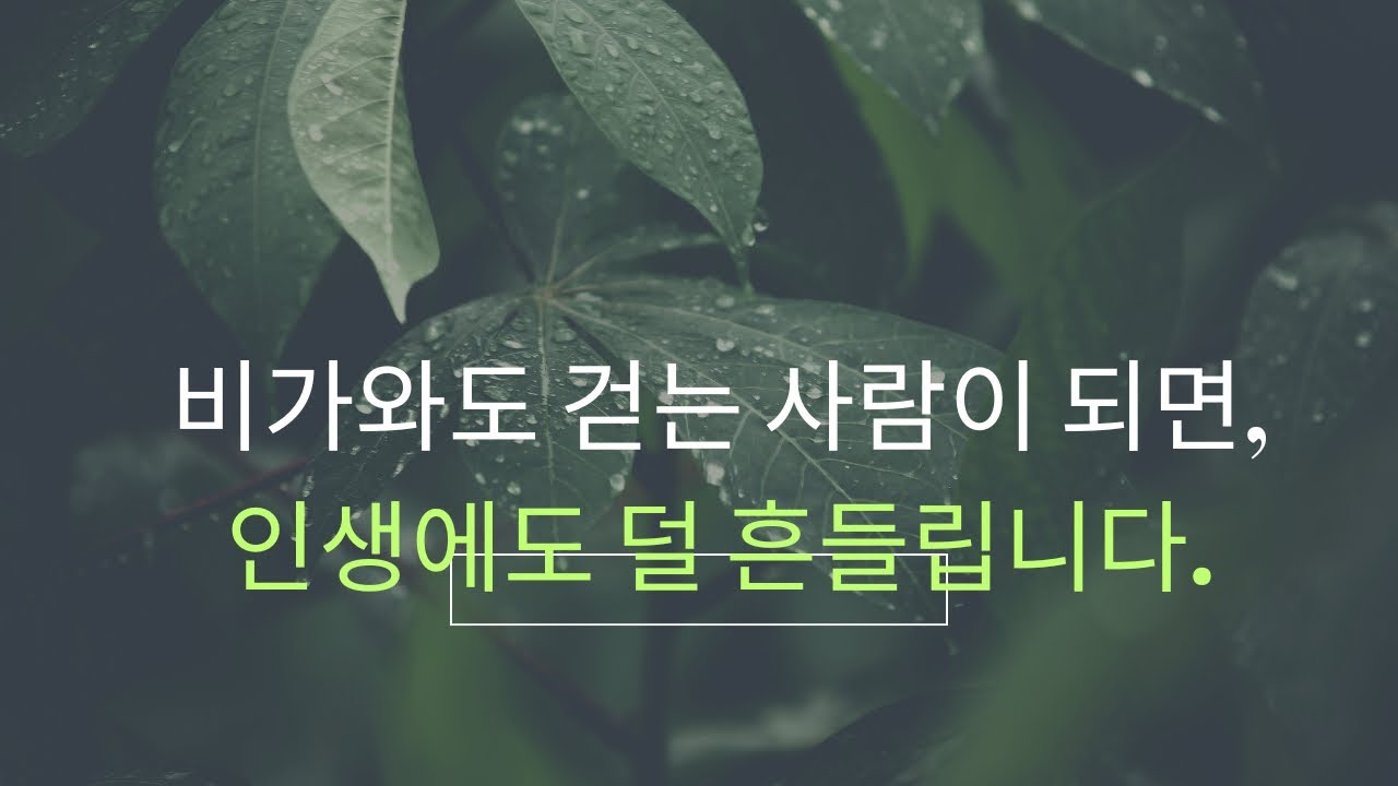 감사는 조건이 아니라 선택입니다