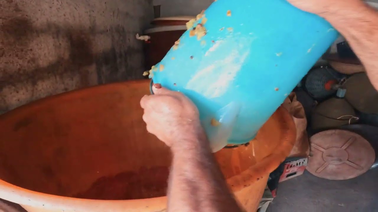 #vendemmia 
