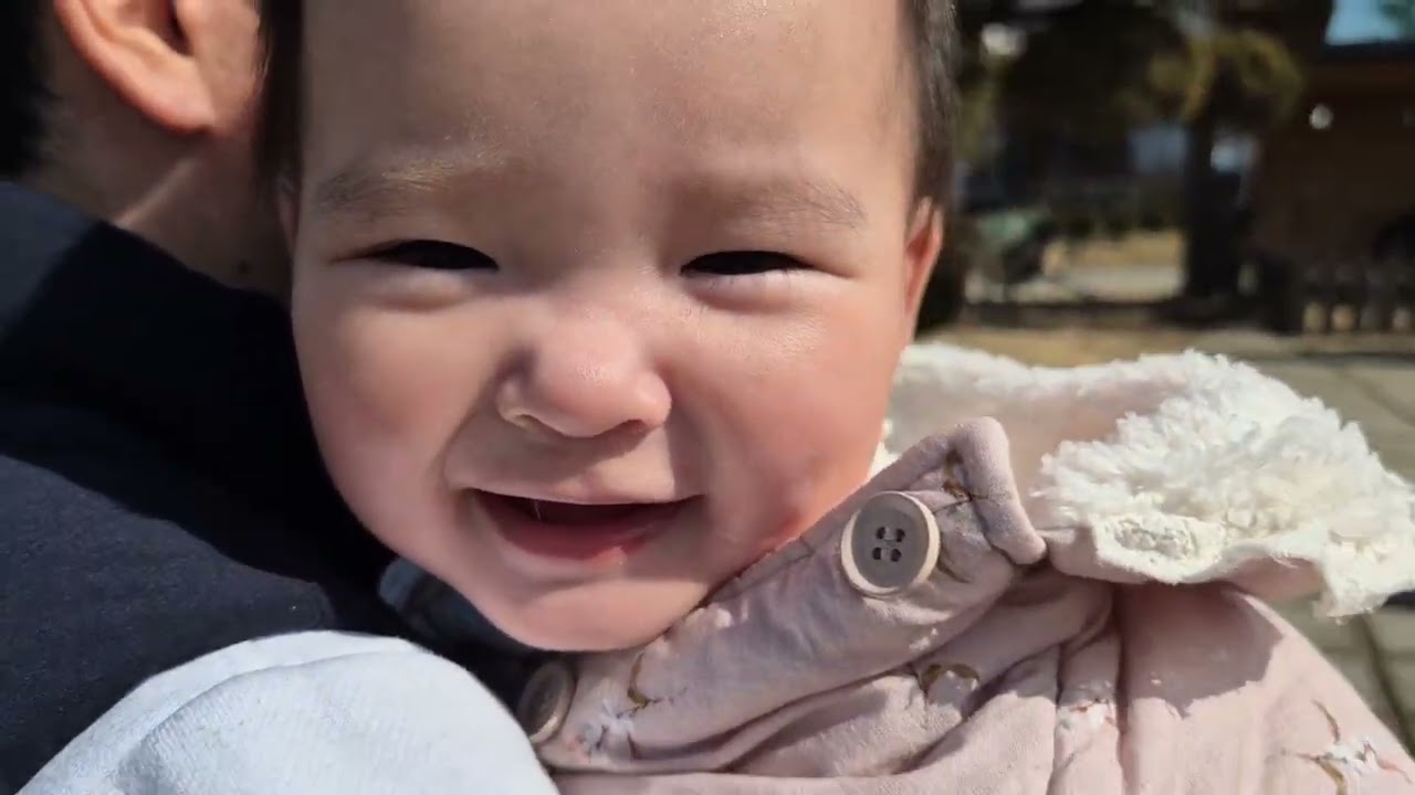 베고니아새정원