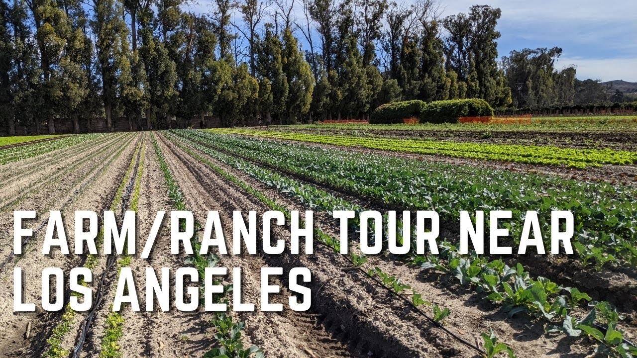 A Farm/Ranch Tour near Los Angeles