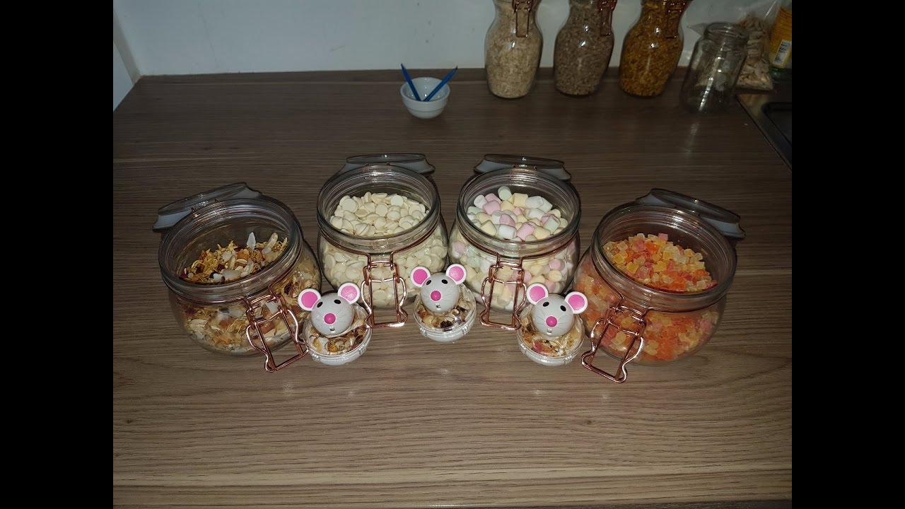 Treats for your Sugar Gliders