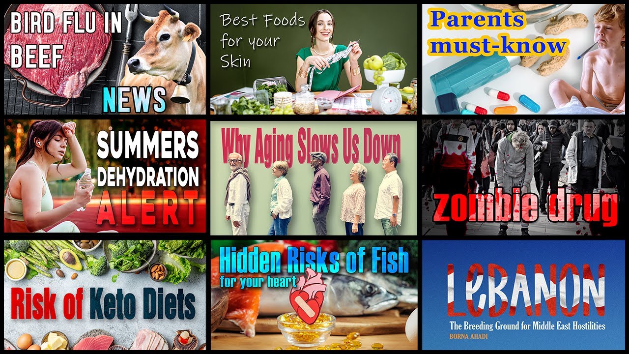 Best videos of 2024