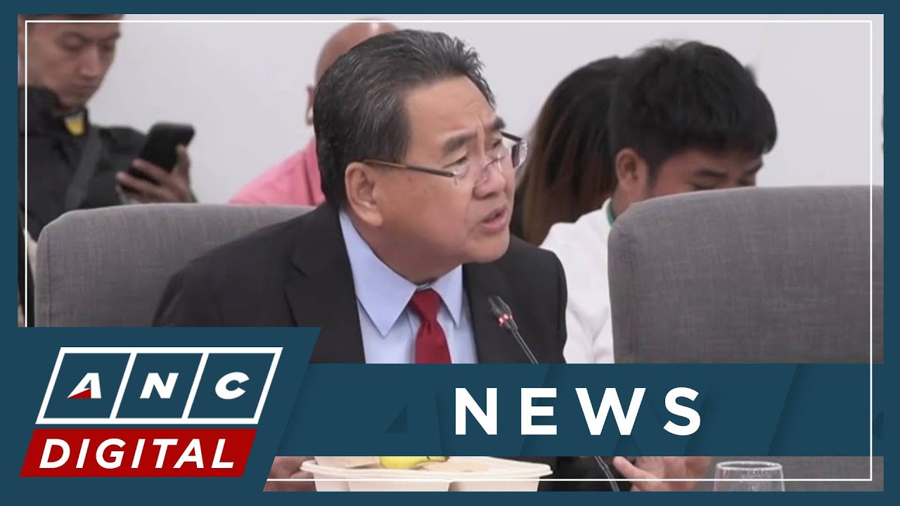 Rodriguez: No clear recital of facts in bribery allegations vs VP Sara | ANC