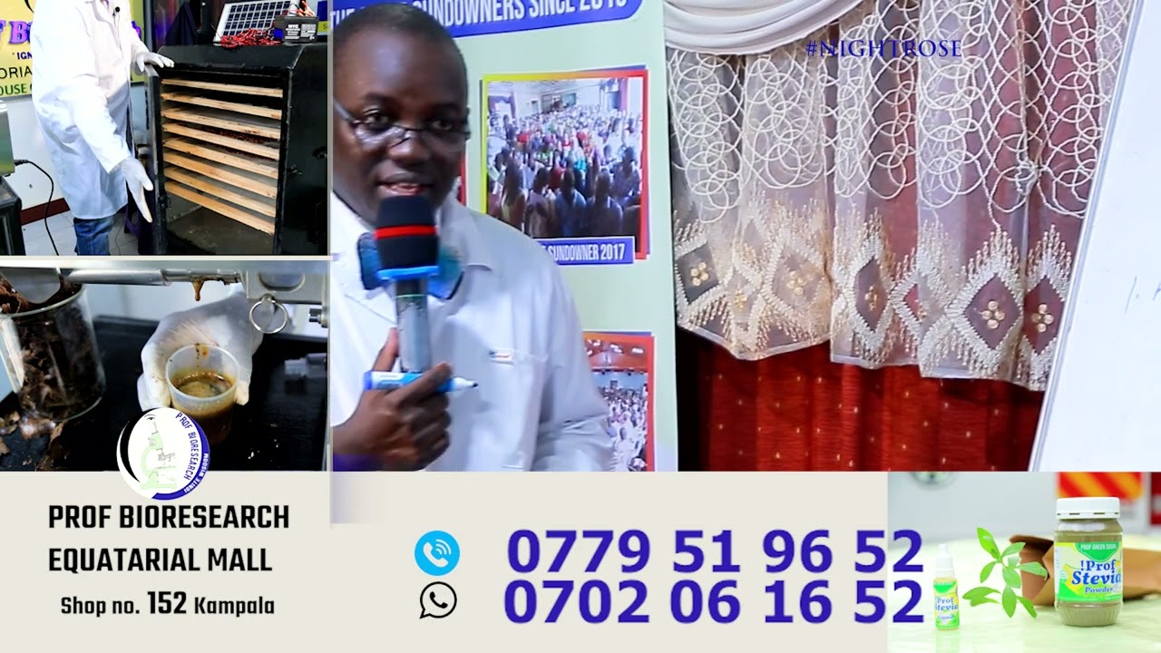 NIGHT ROSE CULTIVATION AND VALUE ADDITION IN THE GREAT SUNDOWNER 7 WITH OMUKENKUFU NYANZI JULIUS