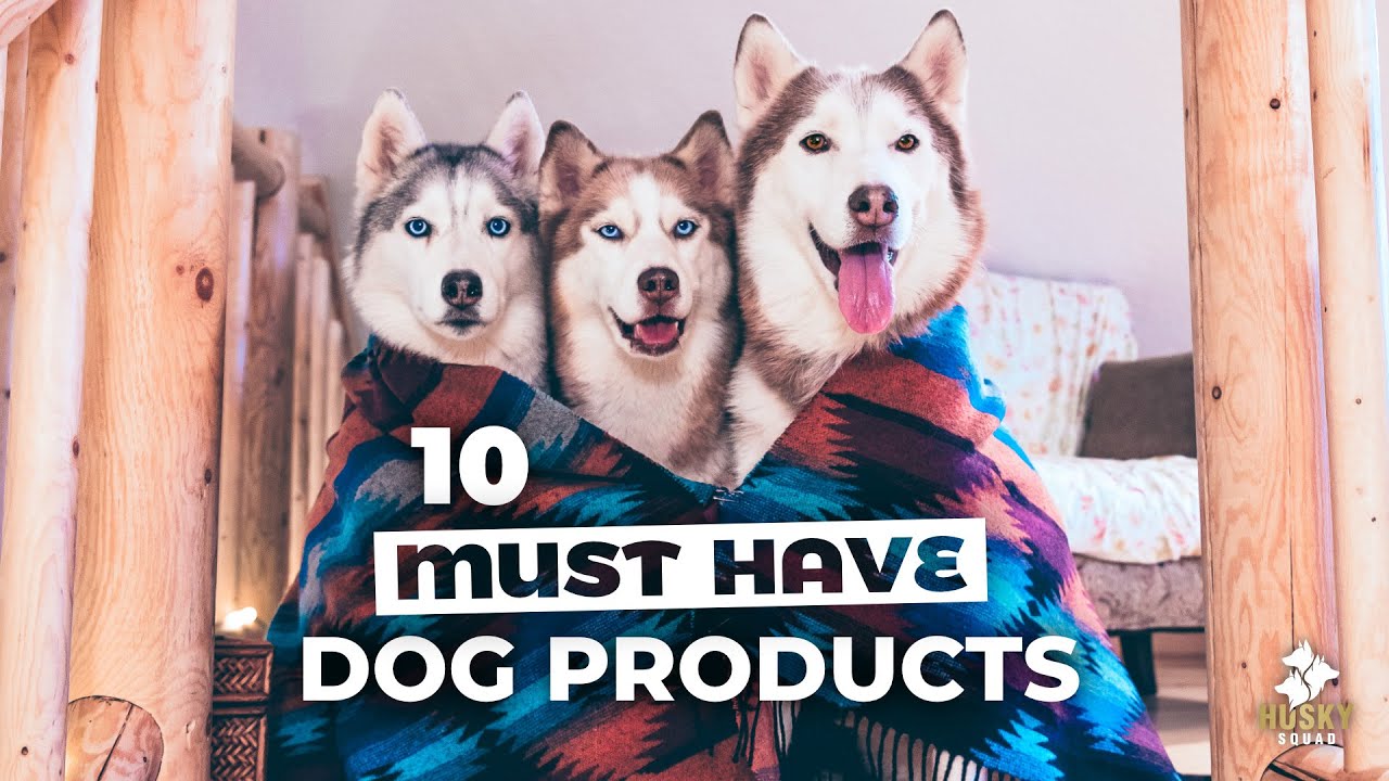 10 Home Products Every Dog Parent NEEDS | HUSKY SQUAD