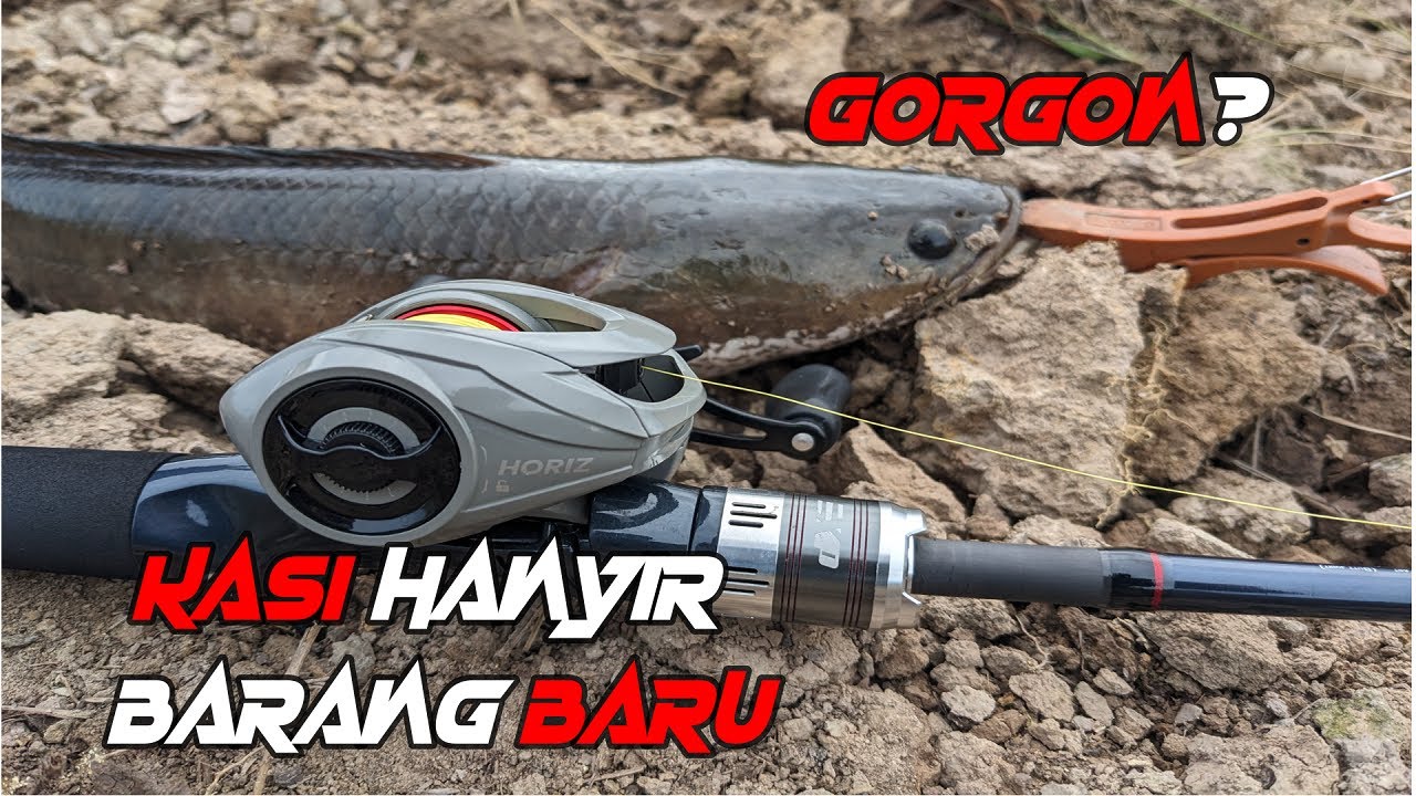Umpan Jatuh Terus DiSambar Gorgon(Exp Horiz)