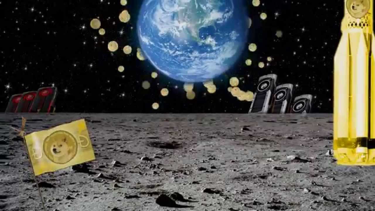 dogecoin.avi