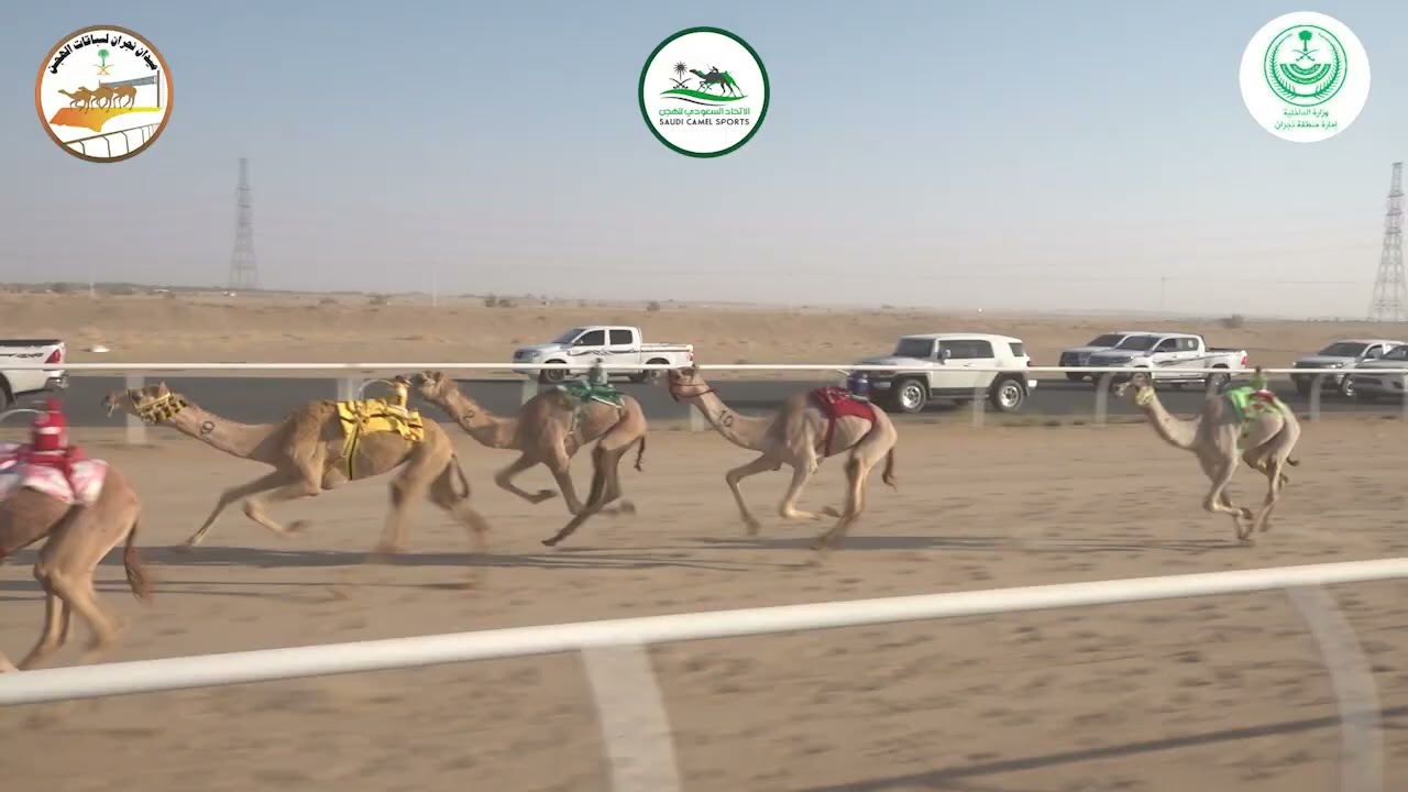 8 / بكار حقايق / 3000م / القودا / علي مطارد الصمصام