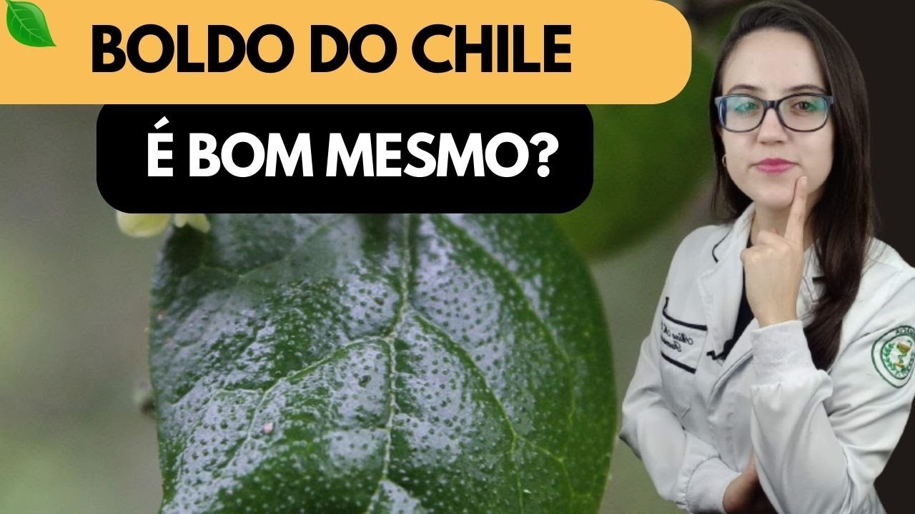 BOLDO DO CHILE PARA QUE SERVE? Veja antes de usar!