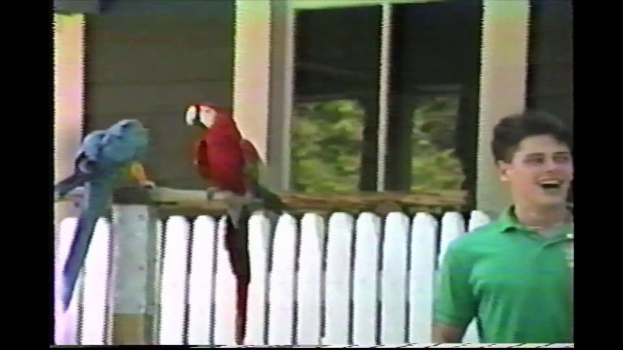Aquarena Springs, San Marcos, TX video 1989
