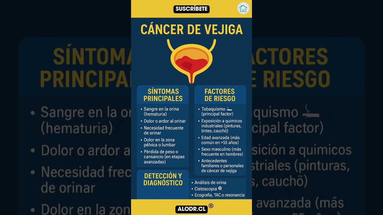 👉 C&aacute;ncer de vejiga: s&iacute;ntomas de alarma 🚽