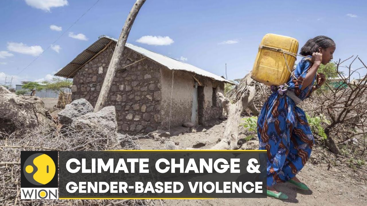 WION Climate Tracker | Climate change triggers gender-based violence | Scientists notice odd pattern