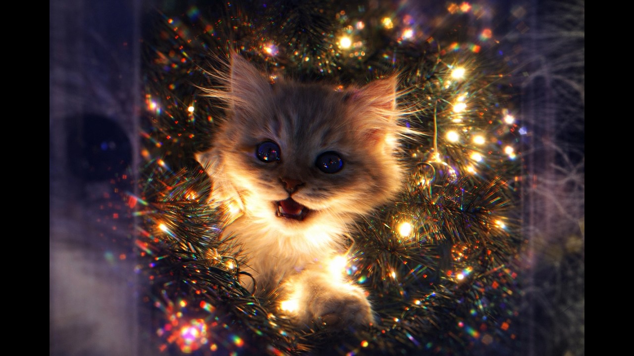 RL GRIME & DEADCROW - DOMINATOR (SWORRA EDIT)