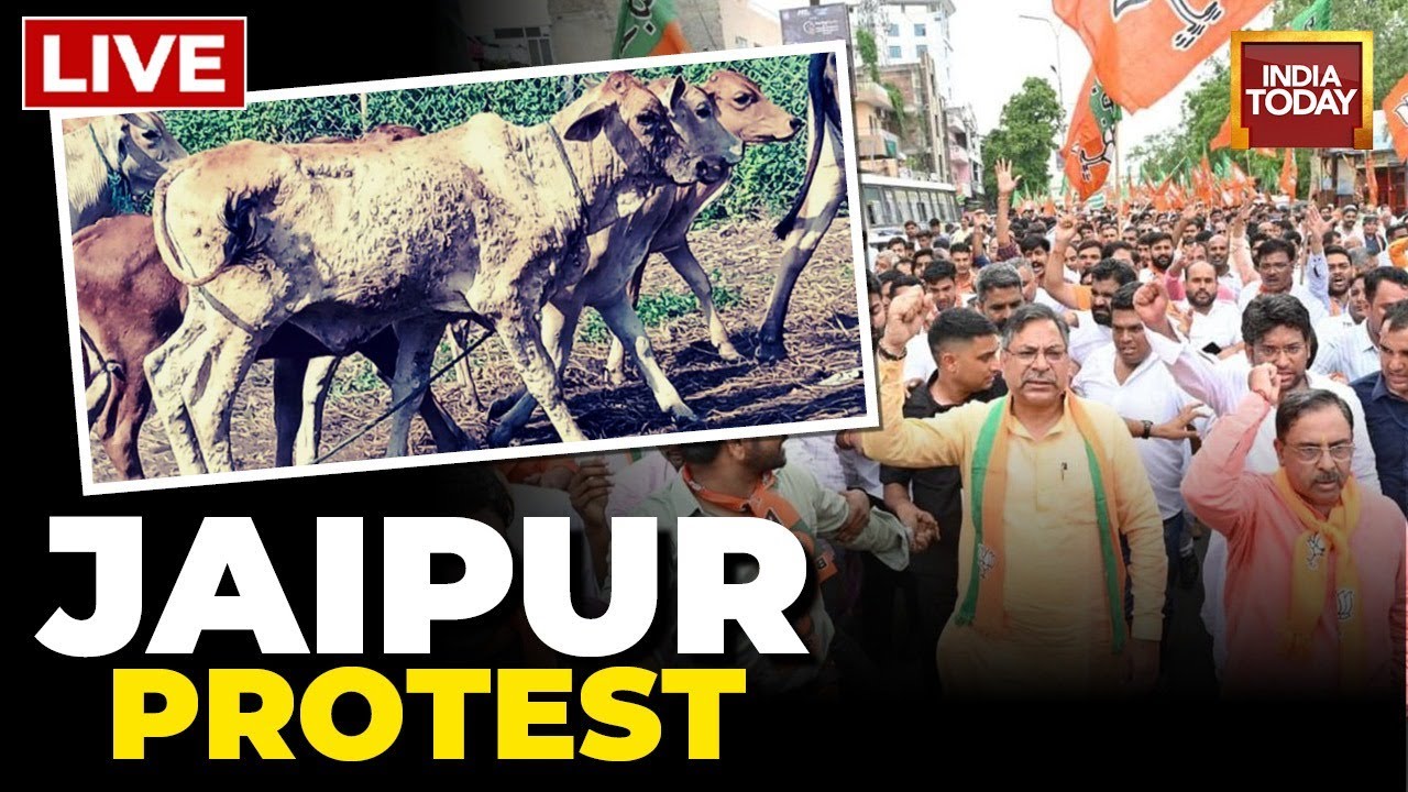 Jaipur News LIVE | Mega BJP Protest Against Gehlot Govt Over Cow Deaths | Rajasthan News Today