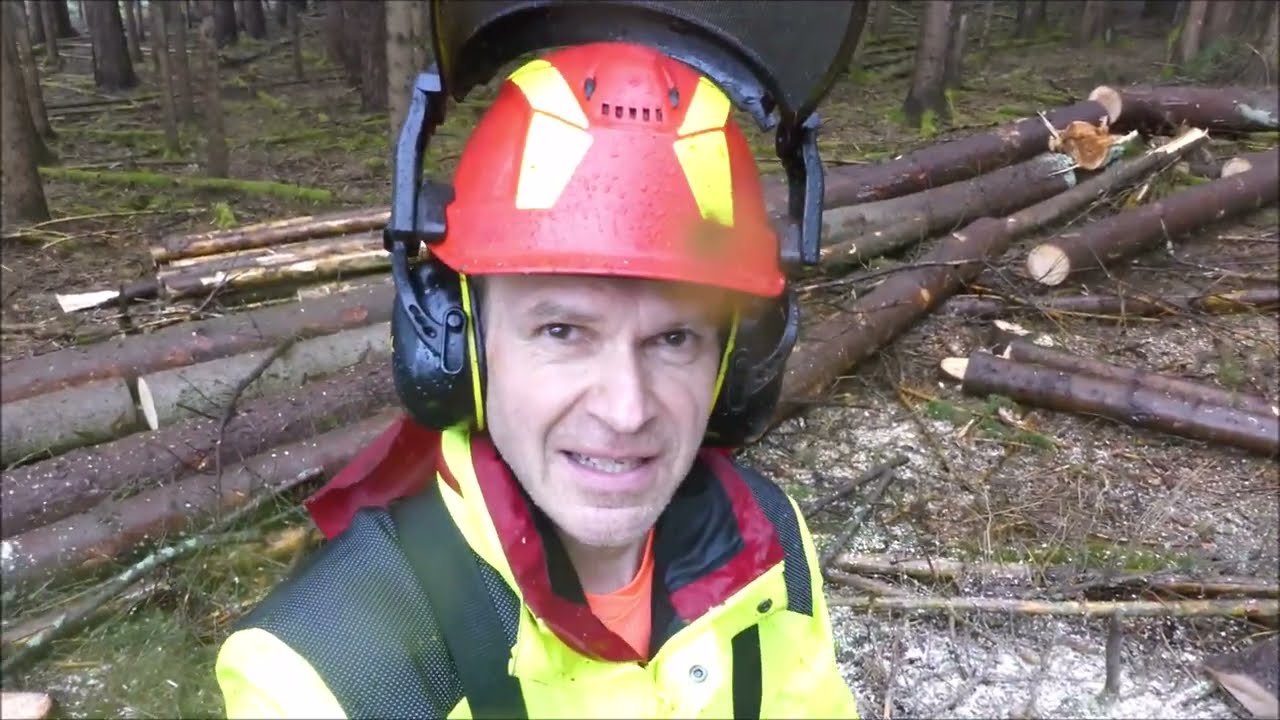 Forest job / Těžba dřeva aneb ,když nám v lese prší - Stihl 462 #121