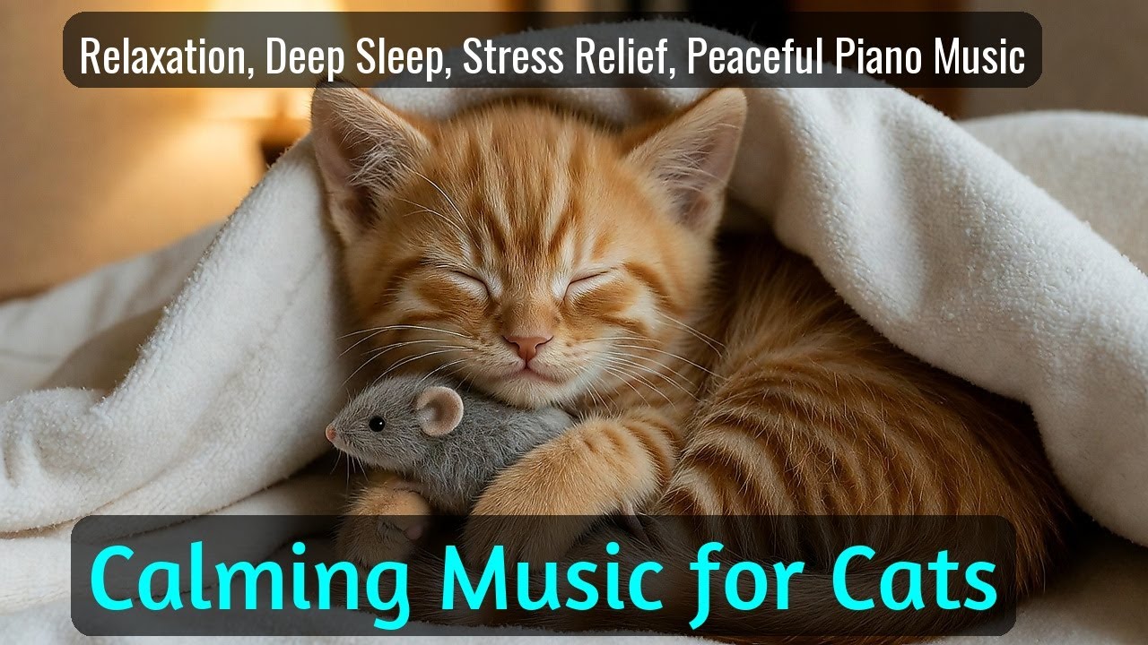 Calming Music for Cats - Relaxation, Deep Sleep, Stress Relief, Peaceful Piano Music | Season 28