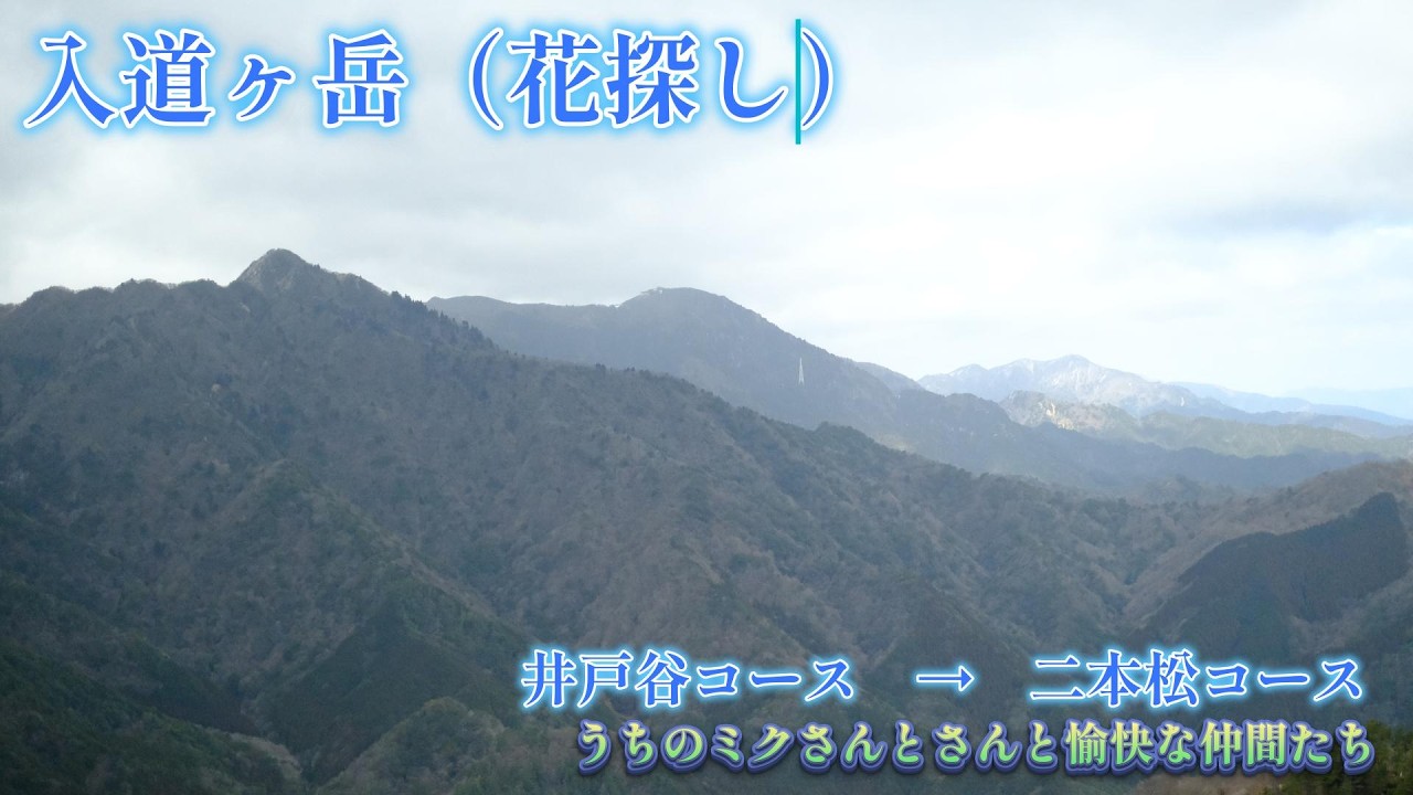 20260308（入道ヶ岳）Ver2