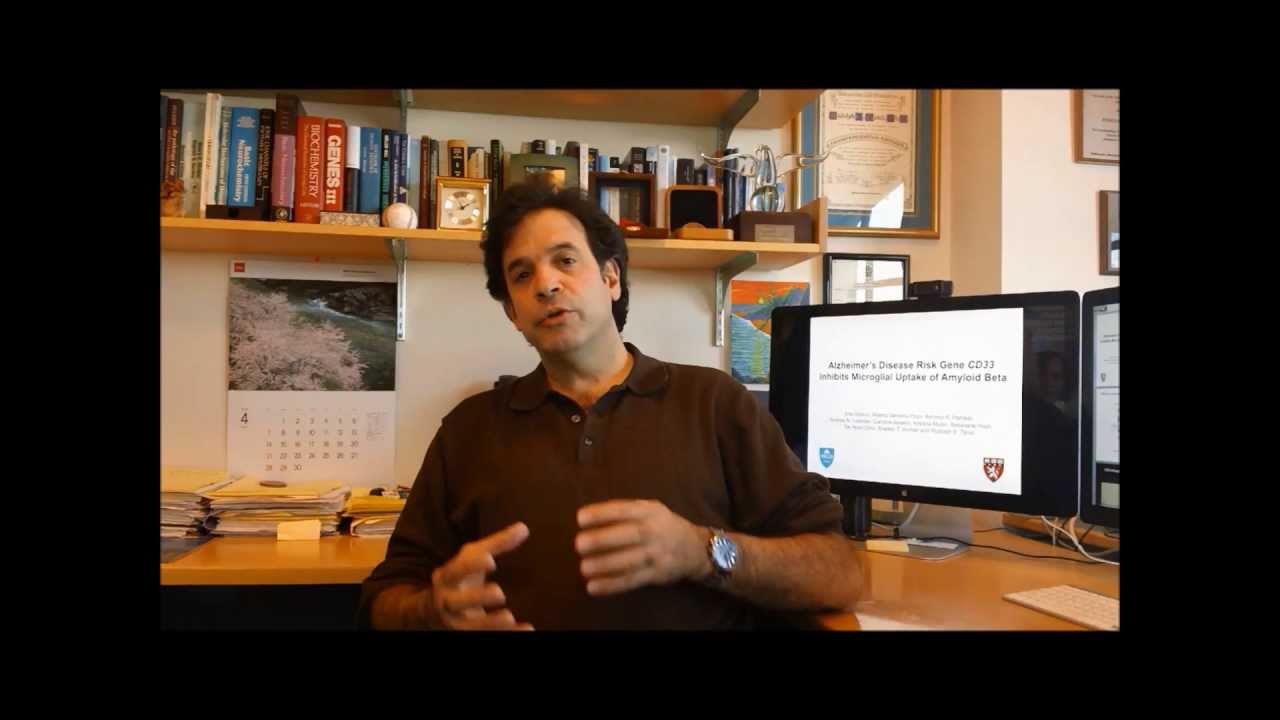CD33 and Alzheimer's Disease