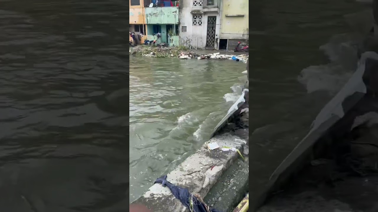Fishing in Chennai Koovam river #rain #flood #chennai #chennaifloods #2023  #cyclone #fishing #fish
