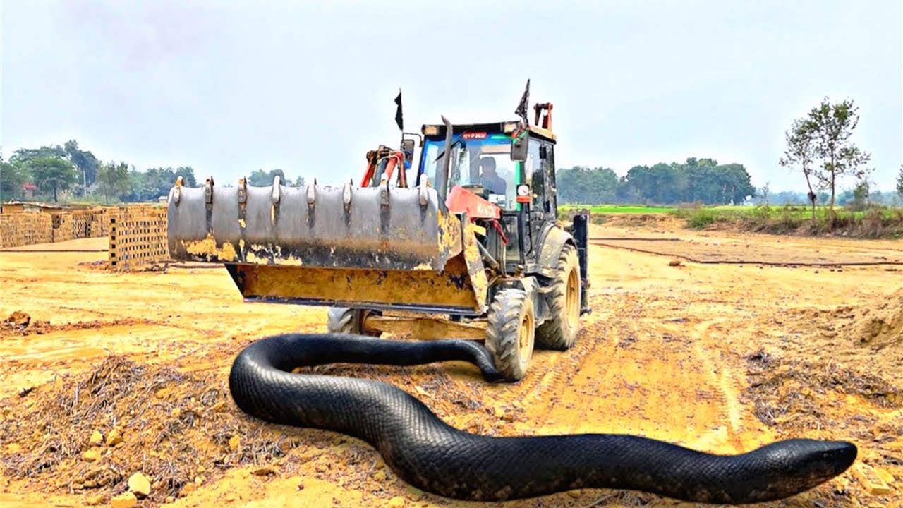 !! New JCB 3DX Eco in Mud Loading | Mahindra & New Holland Tractor With Trolley on Raugh Trucks 3dx 