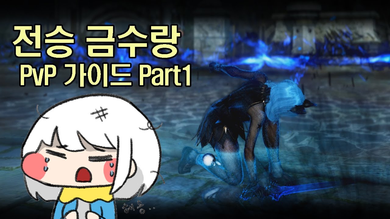 검은사막 전승 금수랑 PVP 가이드 part1