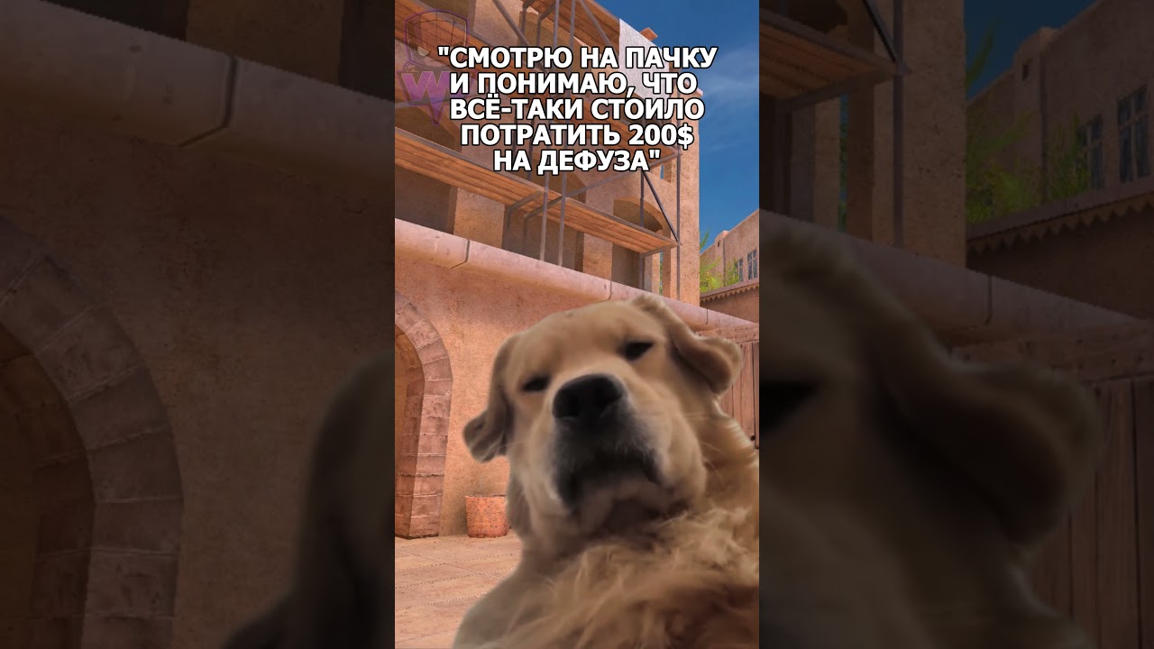 НЕ ЗАБЫВАЙТЕ ПОКУПАТЬ ДЕФЫ) #standoff2 #стандофф2 #мем #memes #стандофф #csgo
