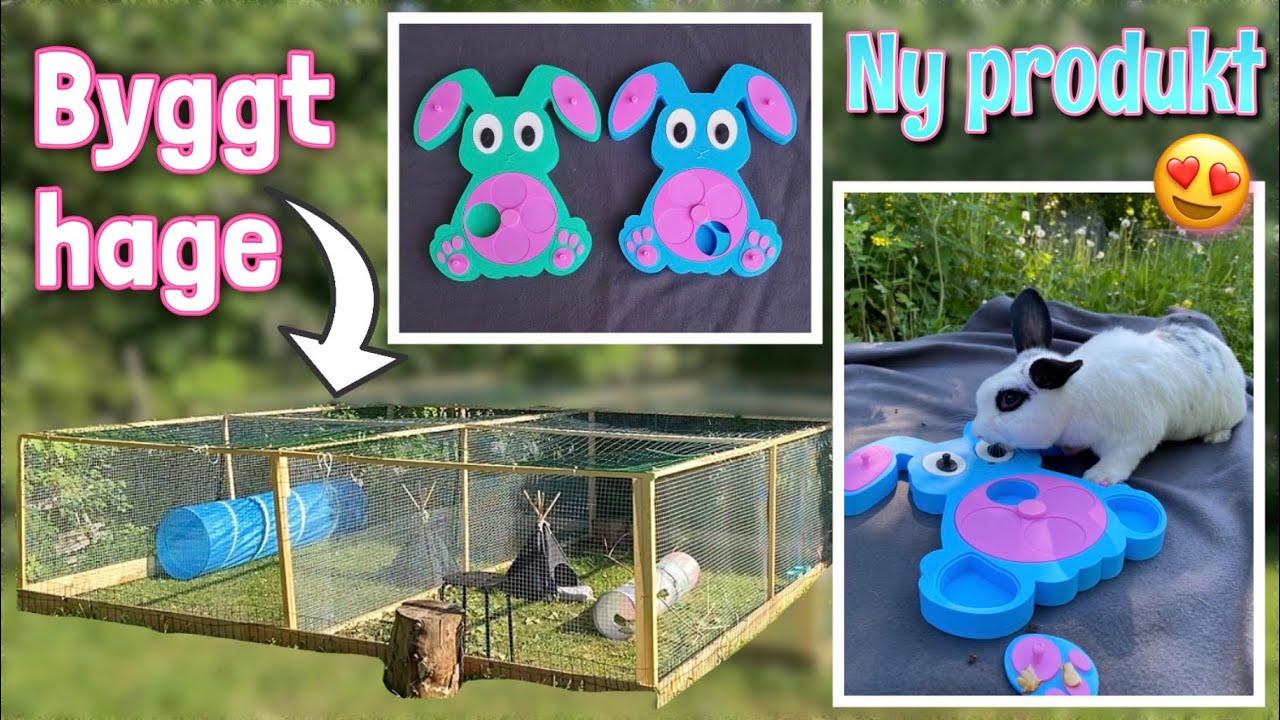 Vlogg~ Kaninernas nya hage
