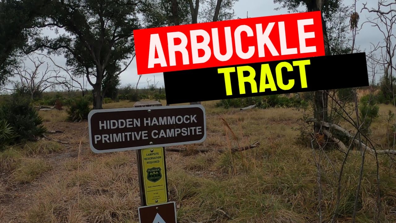 Lake Wales Ridge State Forest Primitive Camping | Arbuckle Tract | Hidden Hammock