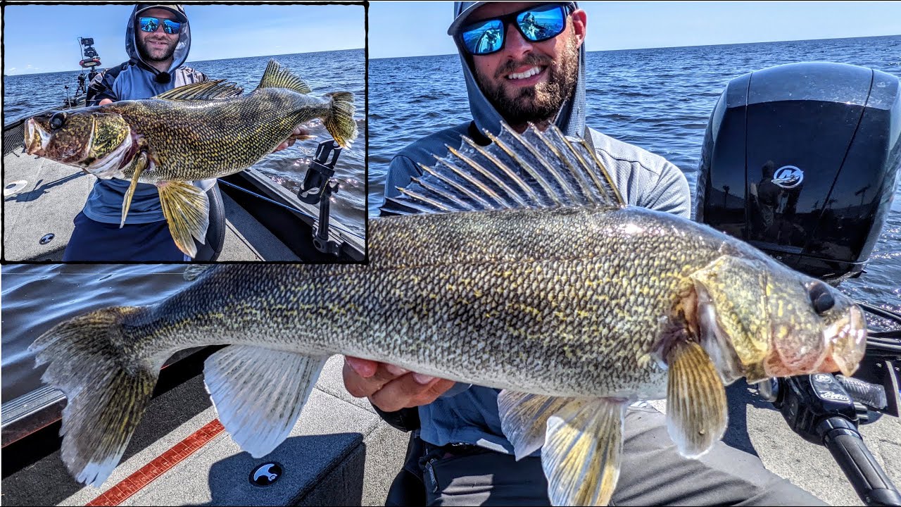 This Lake is LOADED With BIG Walleyes! - Summer Walleye Fishing