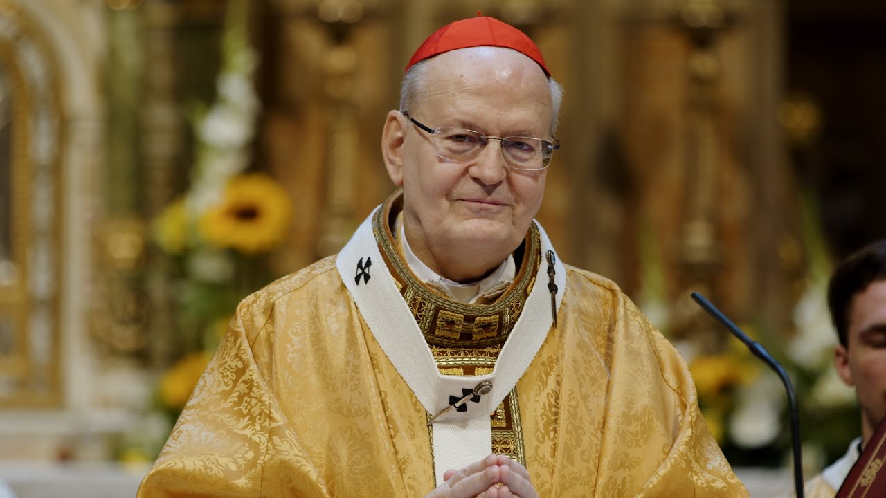Ma ünnepelte aranymiséjét Erdő Péter bíboros a Szent István-bazilikában!