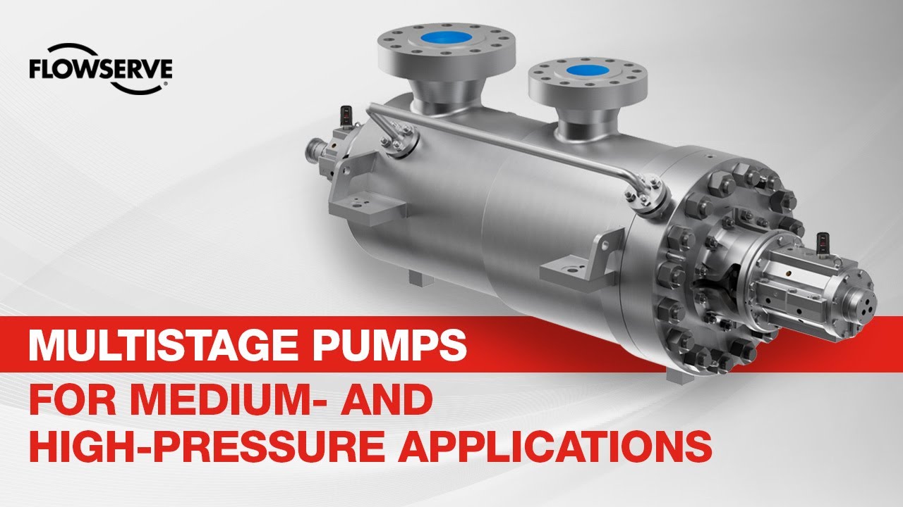 HDO General and Special Purpose Barrel Pump| Flowserve
