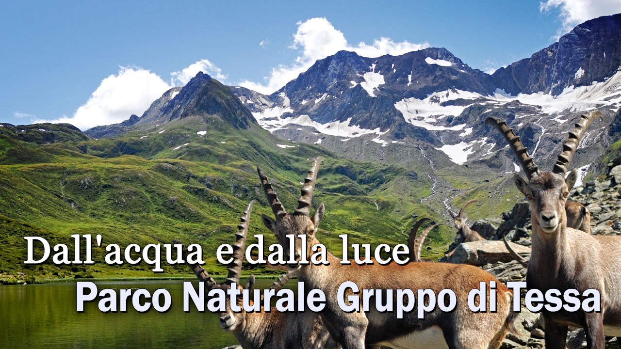 Parco Naturale Gruppo di Tessa