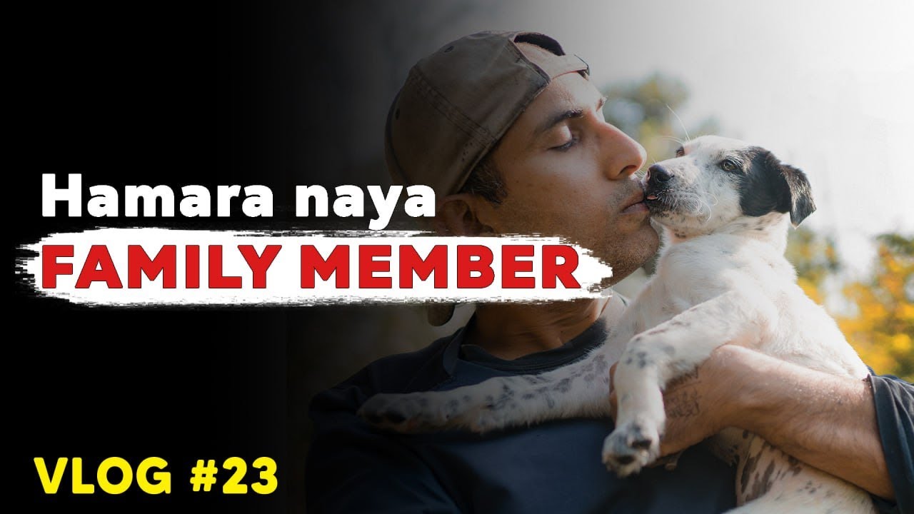 Using ayurveda for animals, The pigtrap calamity & Kangri dham | Vlog 23
