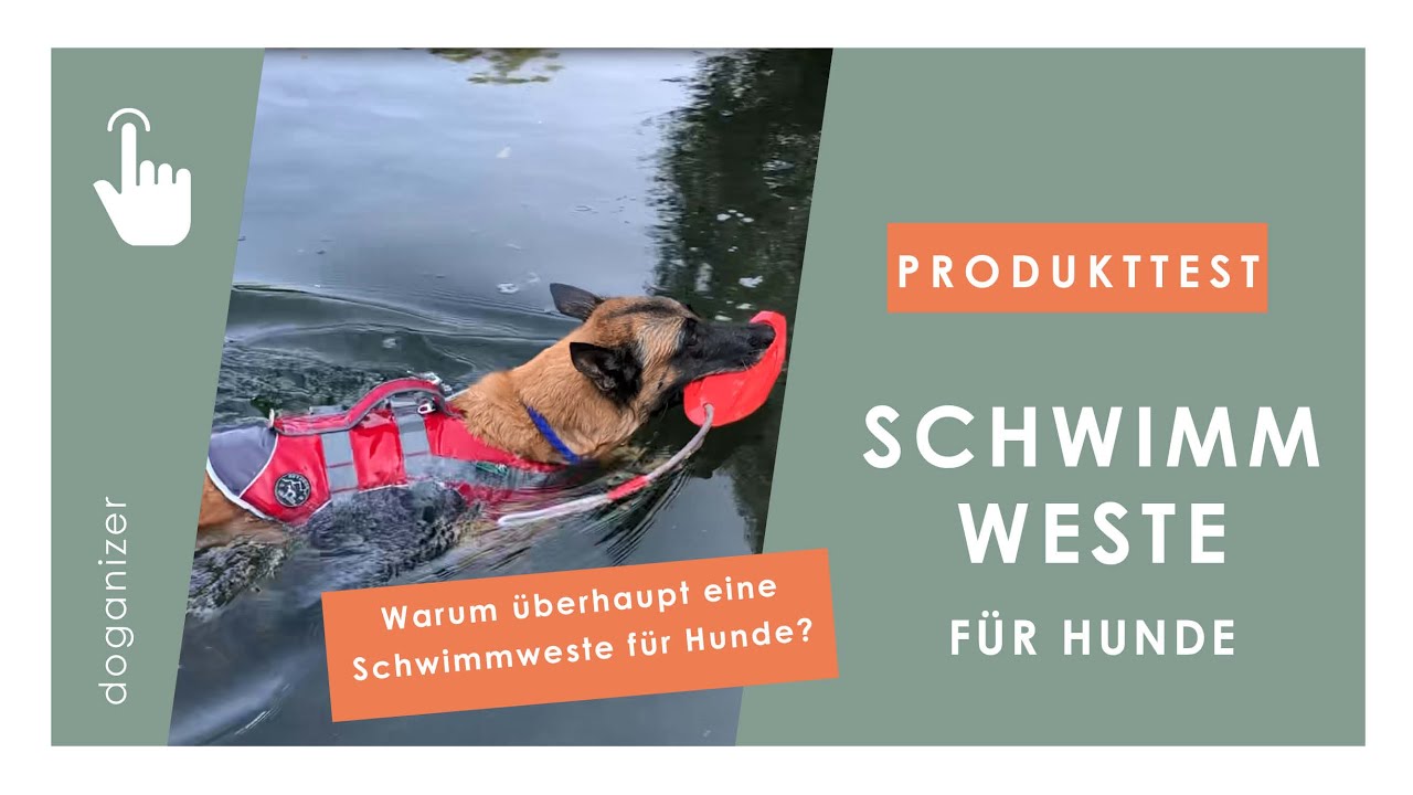 Schwimmweste für Hunde | Warum? | Produkttest | Hunter