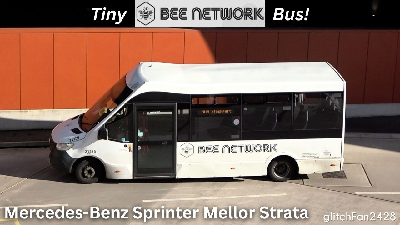 Tiny 'Al-bee-no' Bus! 🐝 All-White Bee Network Mellor Strata Minibus
