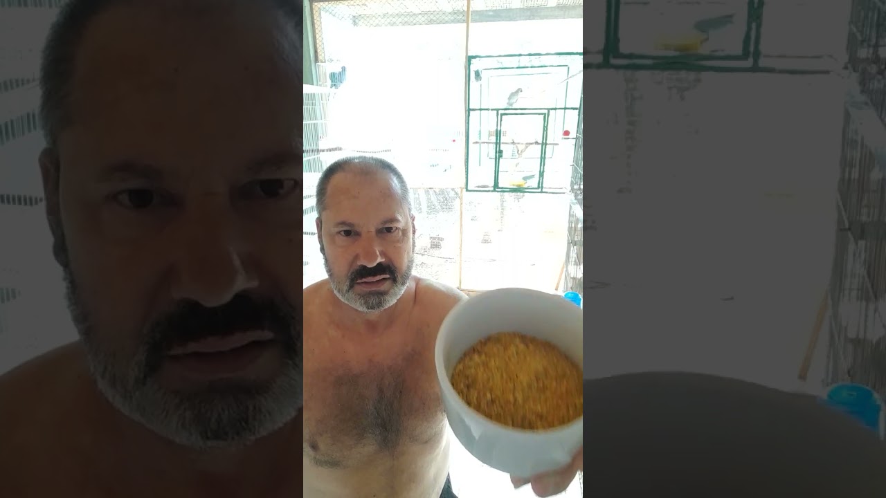 20 de fevereiro de 2026