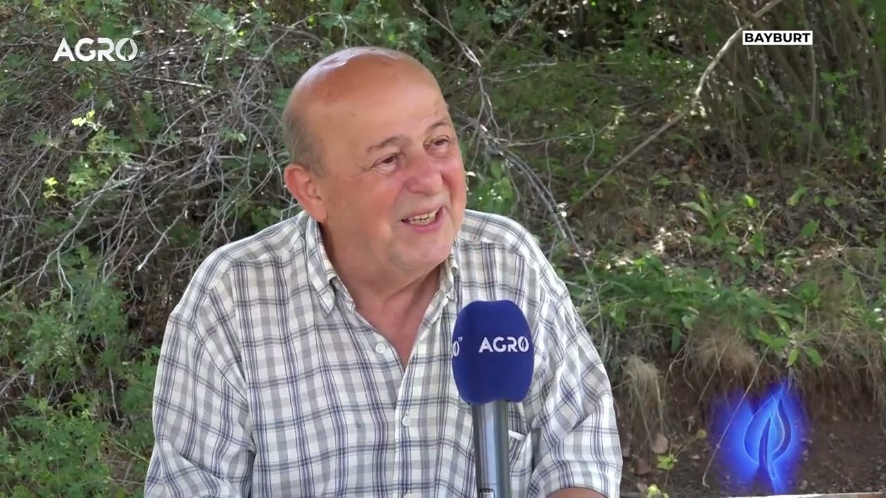 İstanbul'da İş Adamı, Bayburt'ta Arıcı! Arıcılıkta Yeni Fikirler / Abi Nerdesin?