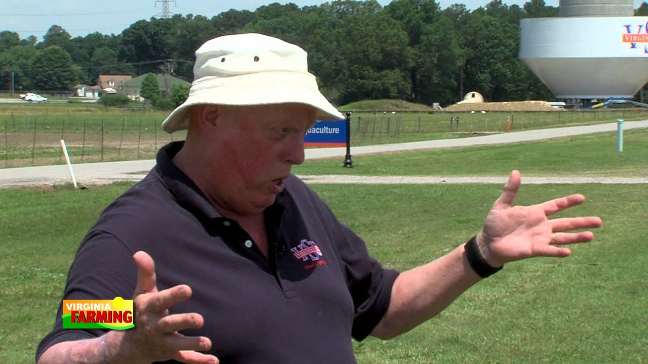 VSU's Freshwater Shrimp Program