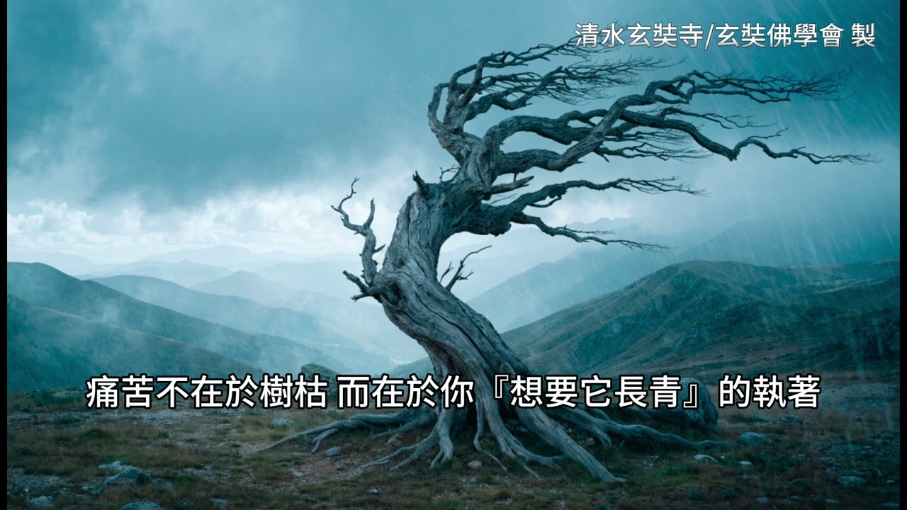 ​枯木與春天
