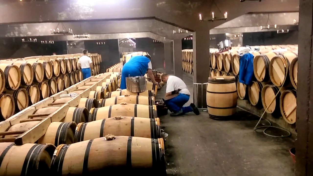 Sauternes; Mouton Rothschild Pauillac; Vertheuil; Château Lagrange (Médoc), 25 juli 2016