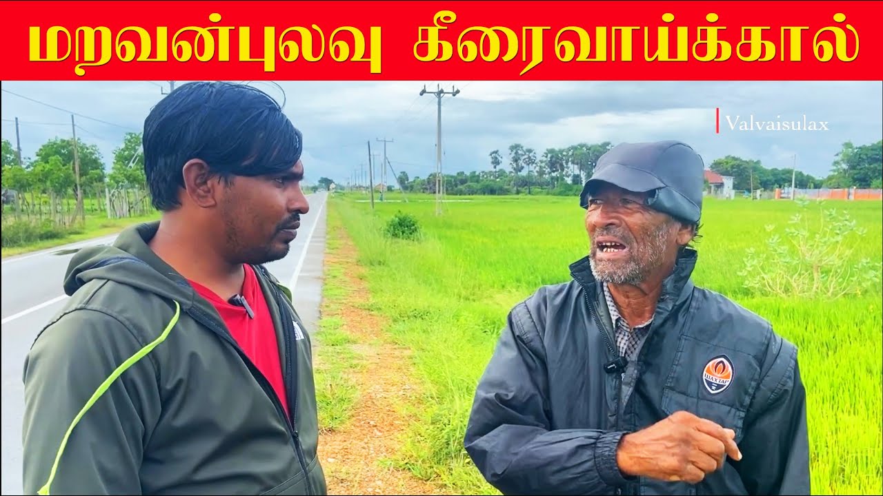 மறவன்புலவு கீரைவாய்க்கால் |Valvai Sulax #valvaisulax #shorts #trending #jaffna