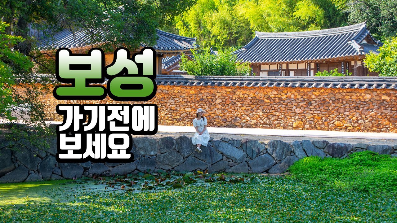 보성 여행지 추천 BEST 7👍당일여행코스/보성 맛집&카페 /국내 여행지 추천 /가족 여행지 추천