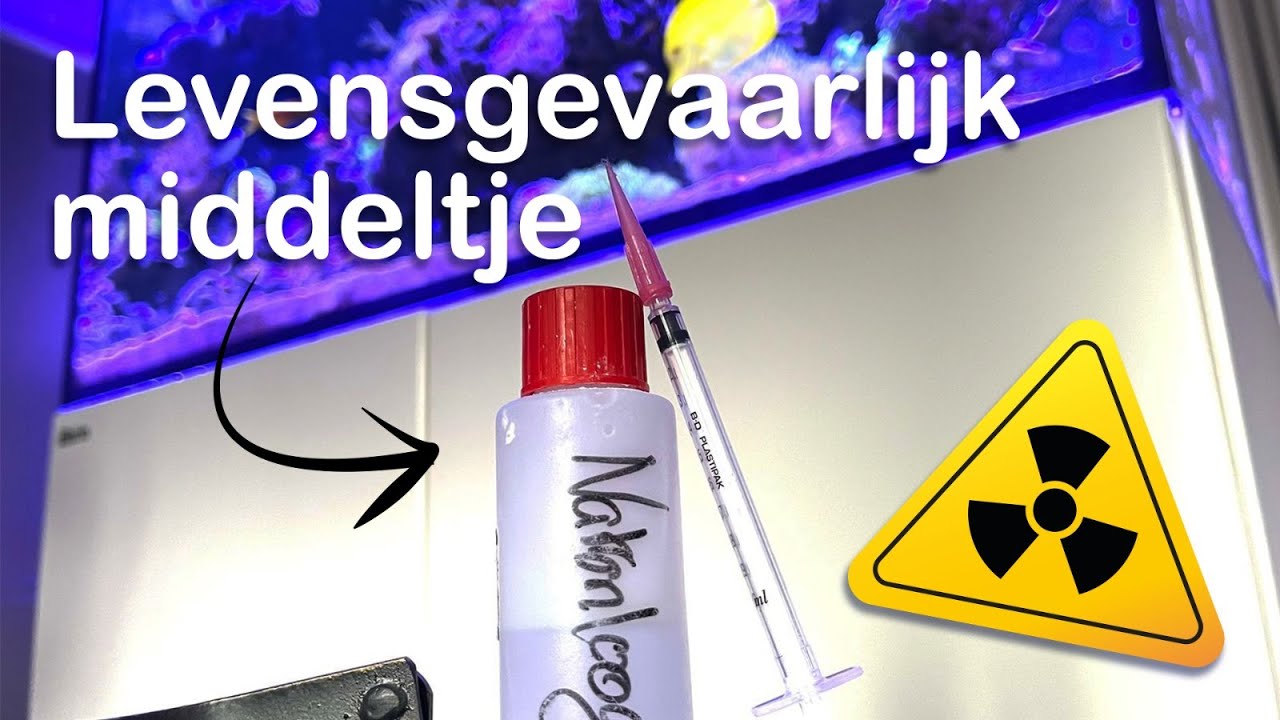 Natronloog gebruiken tegen Aiptasia (en woekerende koralen) als pepermuntgarnalen niet werken