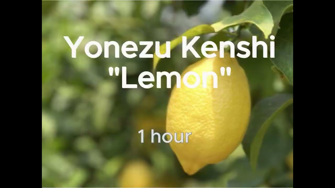 요네즈 켄시 - Lemon 1시간 플레이 (가사/해석/발음) Yonezu Kenshi - Lemon 1 hour play