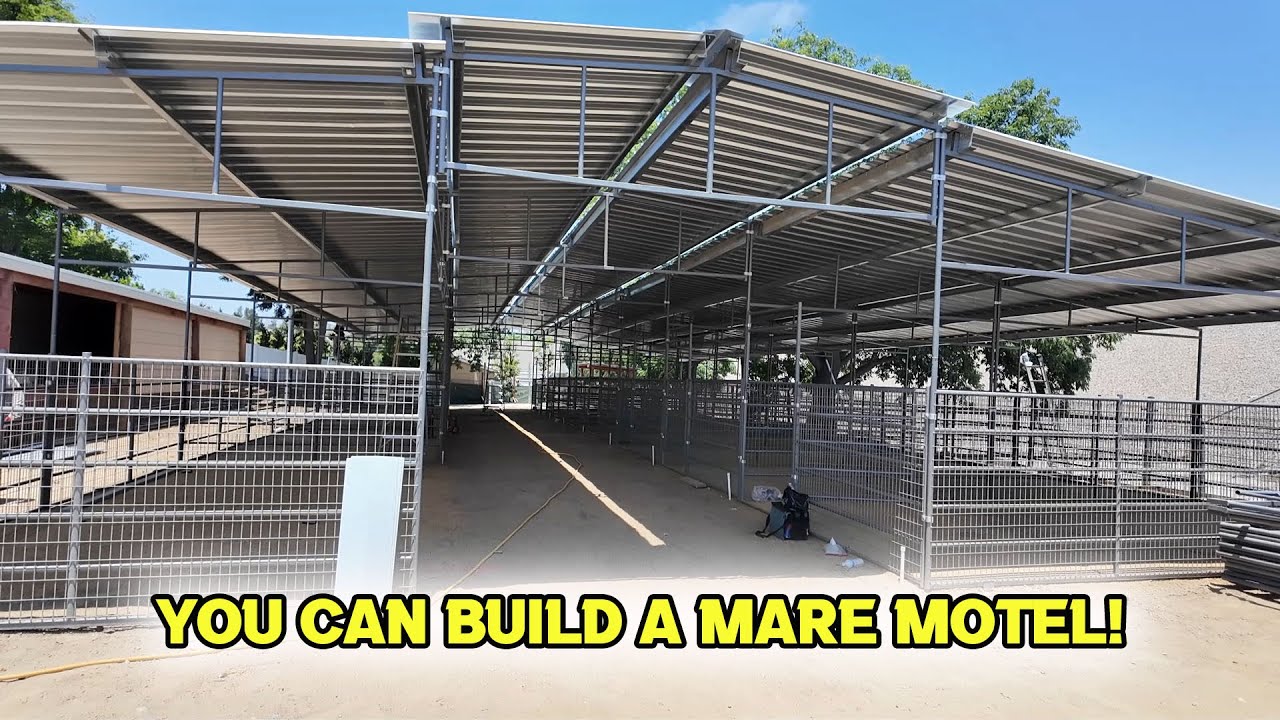 DIY Mare Motels | Builds & Ideas For Your Dream Horse Ranch