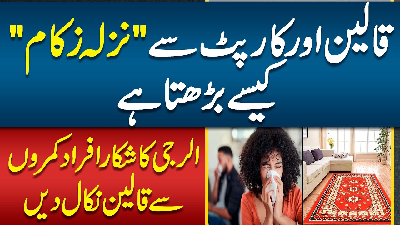 Dust Allergy Ka ilaj - How Carpets and Rugs Spread Flu & Colds - Best Treatment For Allergy & Cough