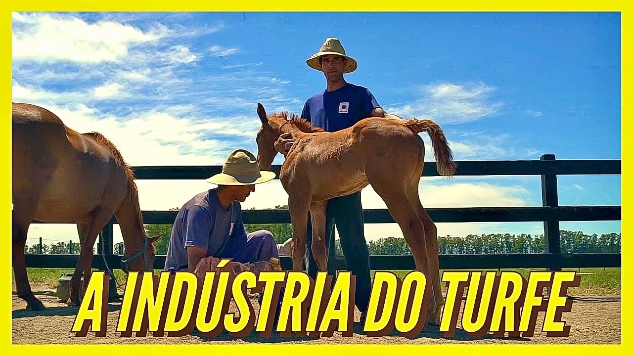 TURFE, a IND&Uacute;STRIA