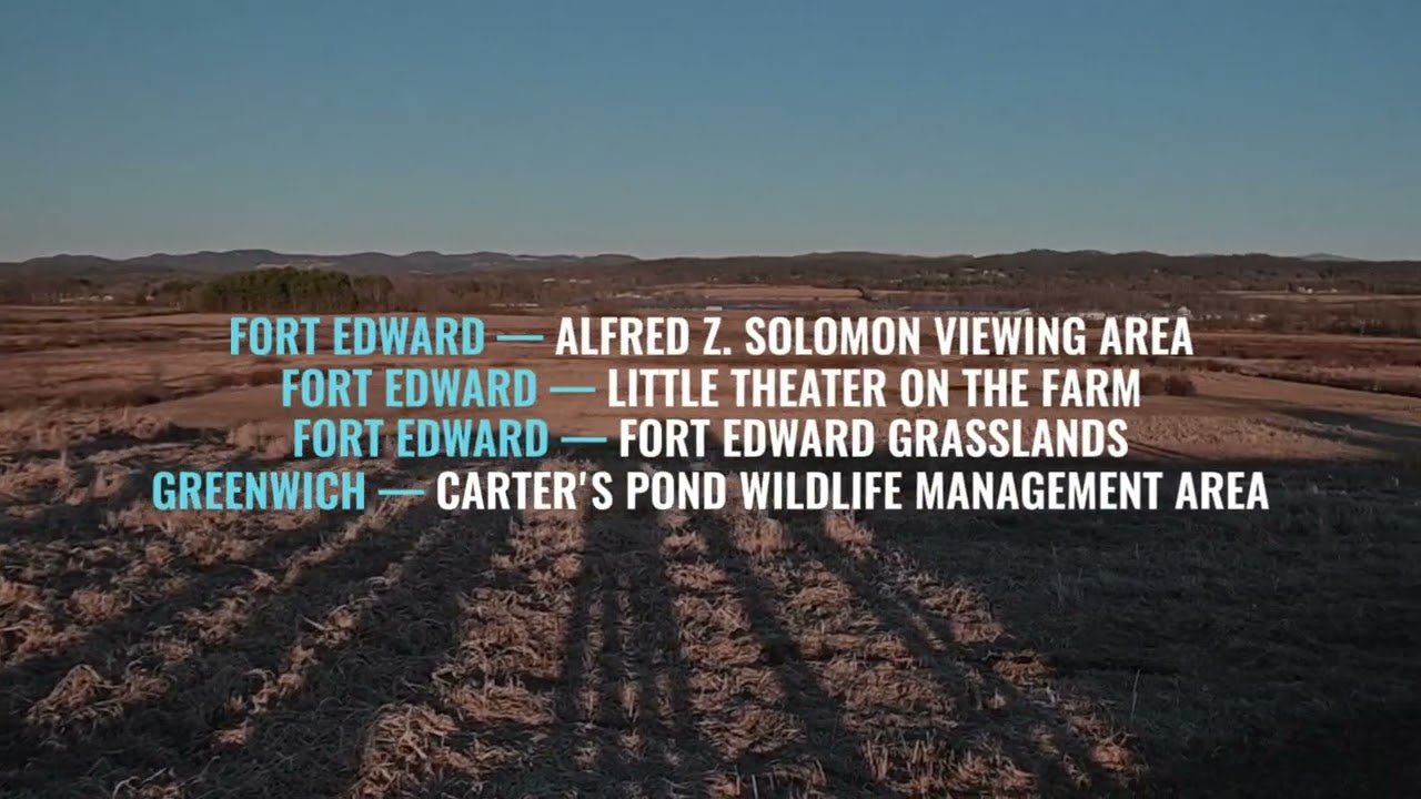 Winter Birding in Washington County, NY