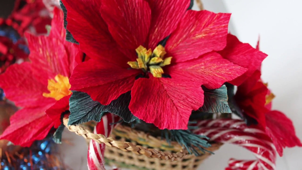 Paper Poinsettia Flower DIY / Tutorial / Пуансеттия из бумаги / Цветок Рождественская звезда